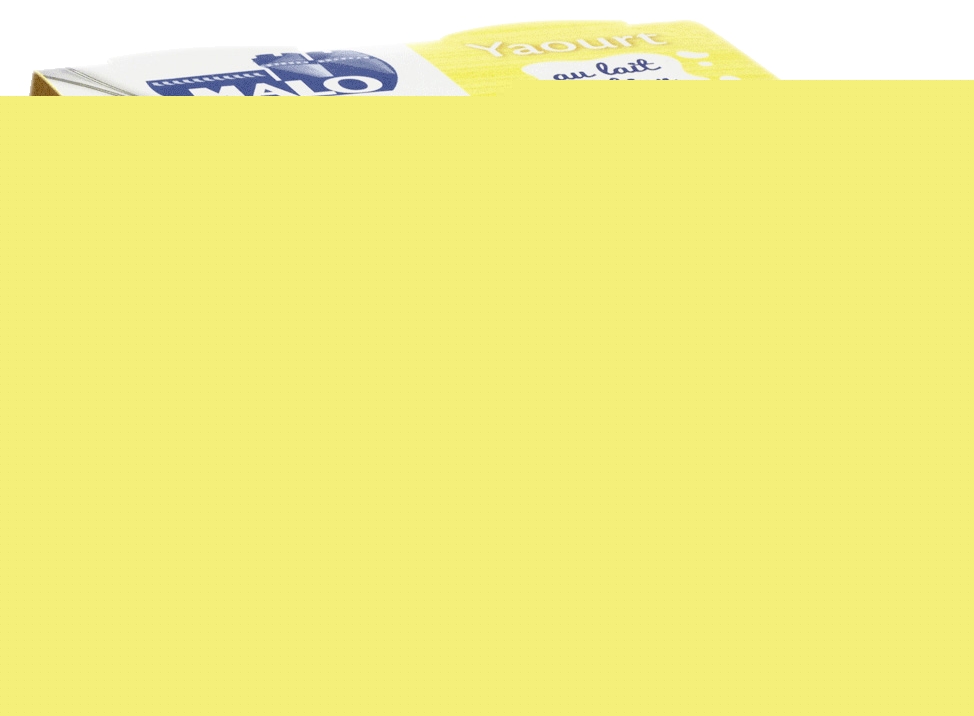 YAOURT POT VERRE   CITRON Malo