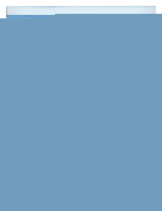 Mâche roquette & betterave Florette