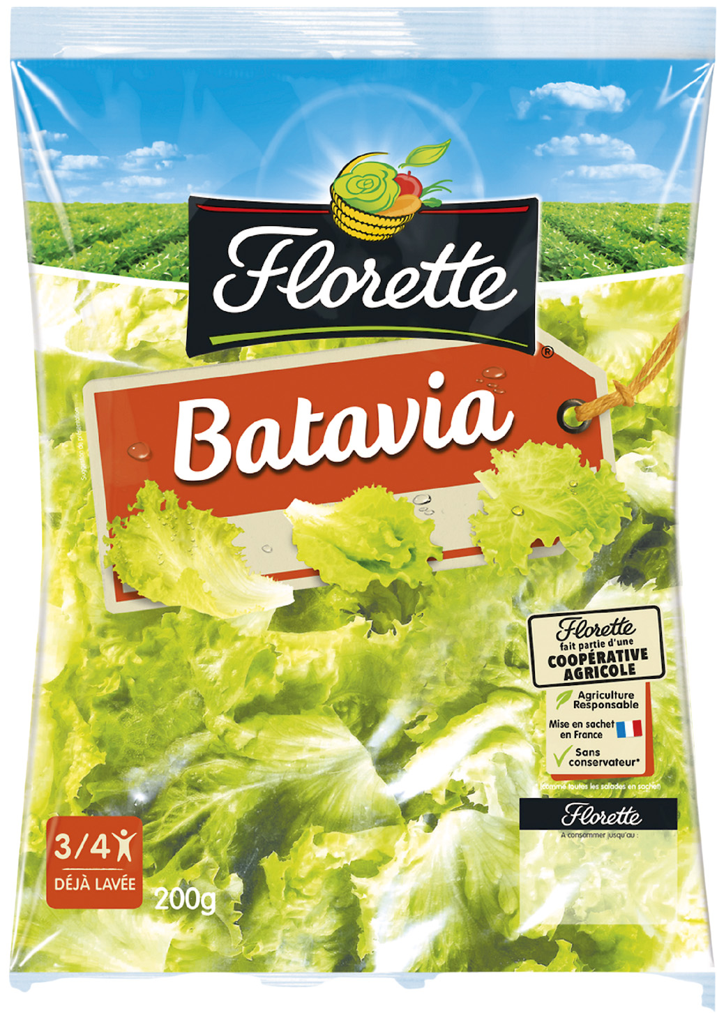  BATAVIA FLORETTE code EAN 3280220801008 