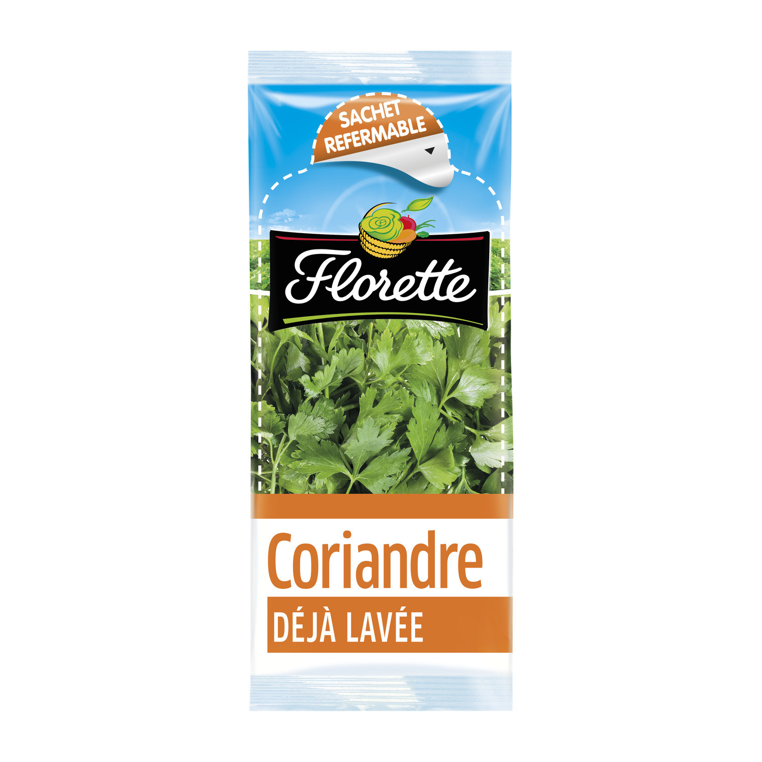 FLORETTE Coriandre  FLORETTE code EAN 3280220921003 