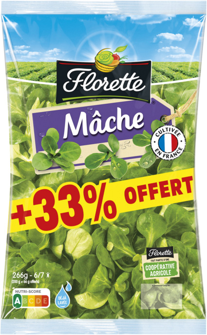  MACHE FLORETTE code EAN 3280221811181 