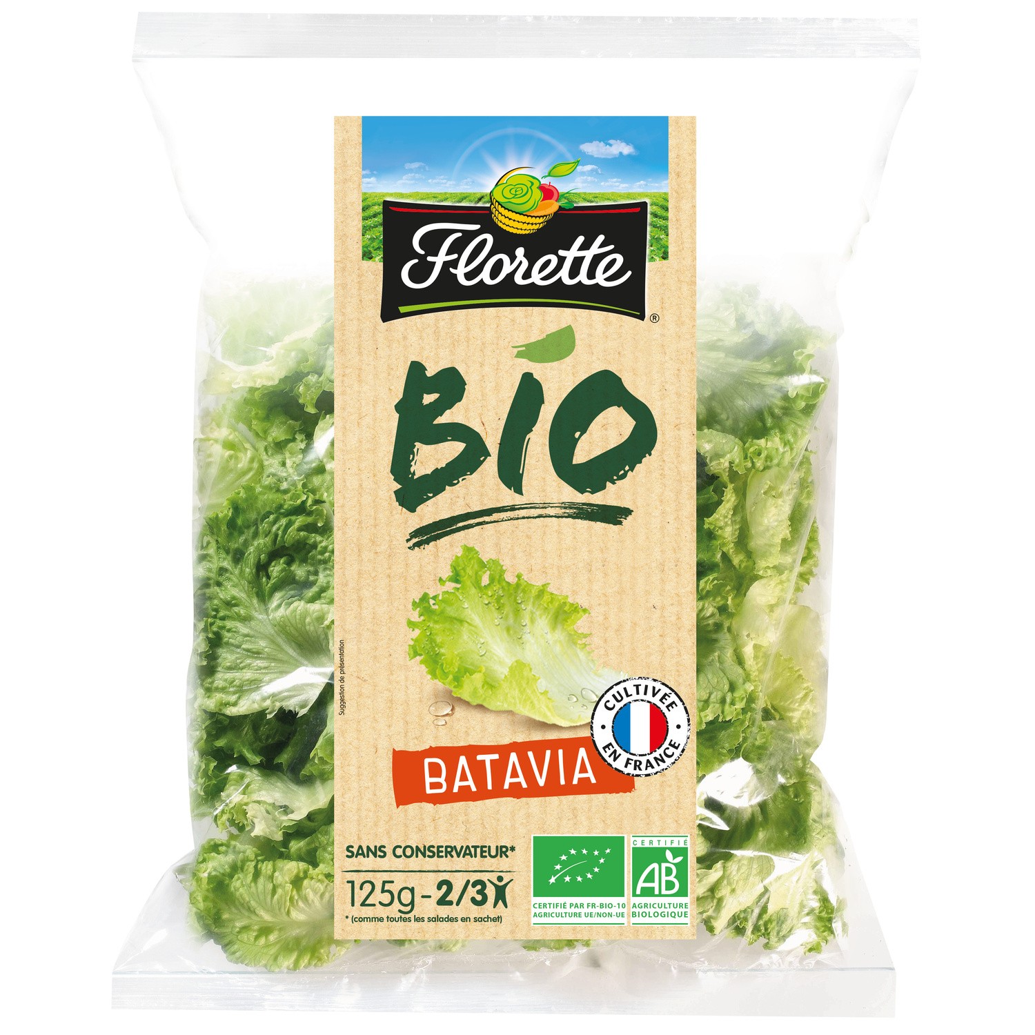 Salade bio batavia FLORETTE