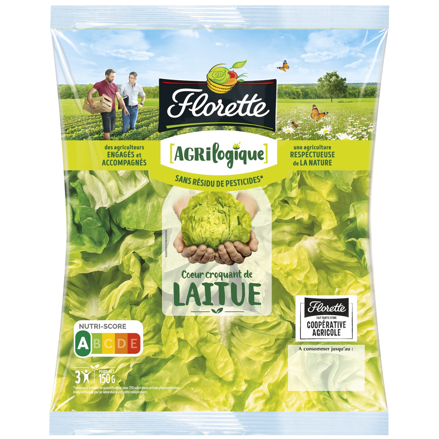 Salade laitue  FLORETTE