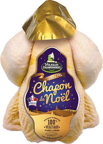 CHAPON VÉGÉTAL DE NOËL