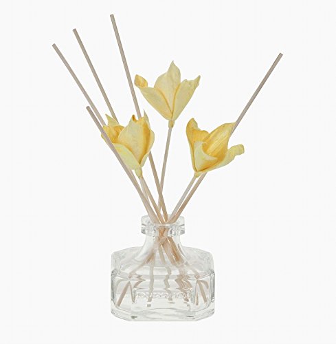 durance - Bouquet Parfumé Agrumes de Menton