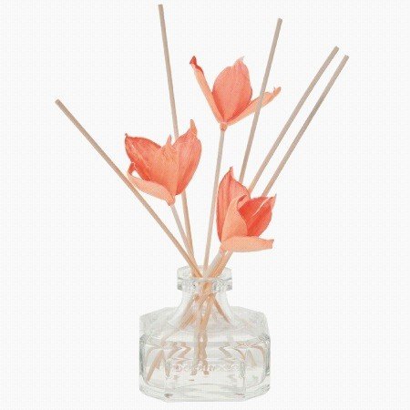 durance - Bouquet Parfumé Nectar du Roussillon