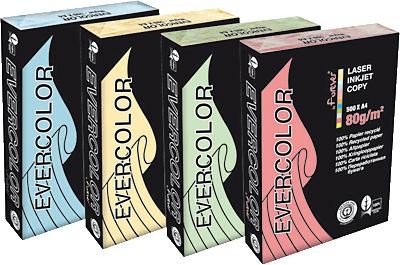 Clairefontaine Forever evercolor pastel jaune clair a3//30005 °c 80 g 500 feuilles code EAN 3288580300056 