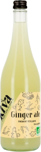  Ginger Ale Kiva Bio code EAN 3289196220042 