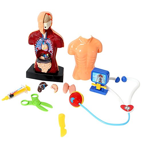 MGM - 110805 - Set de Docteur Anatomie