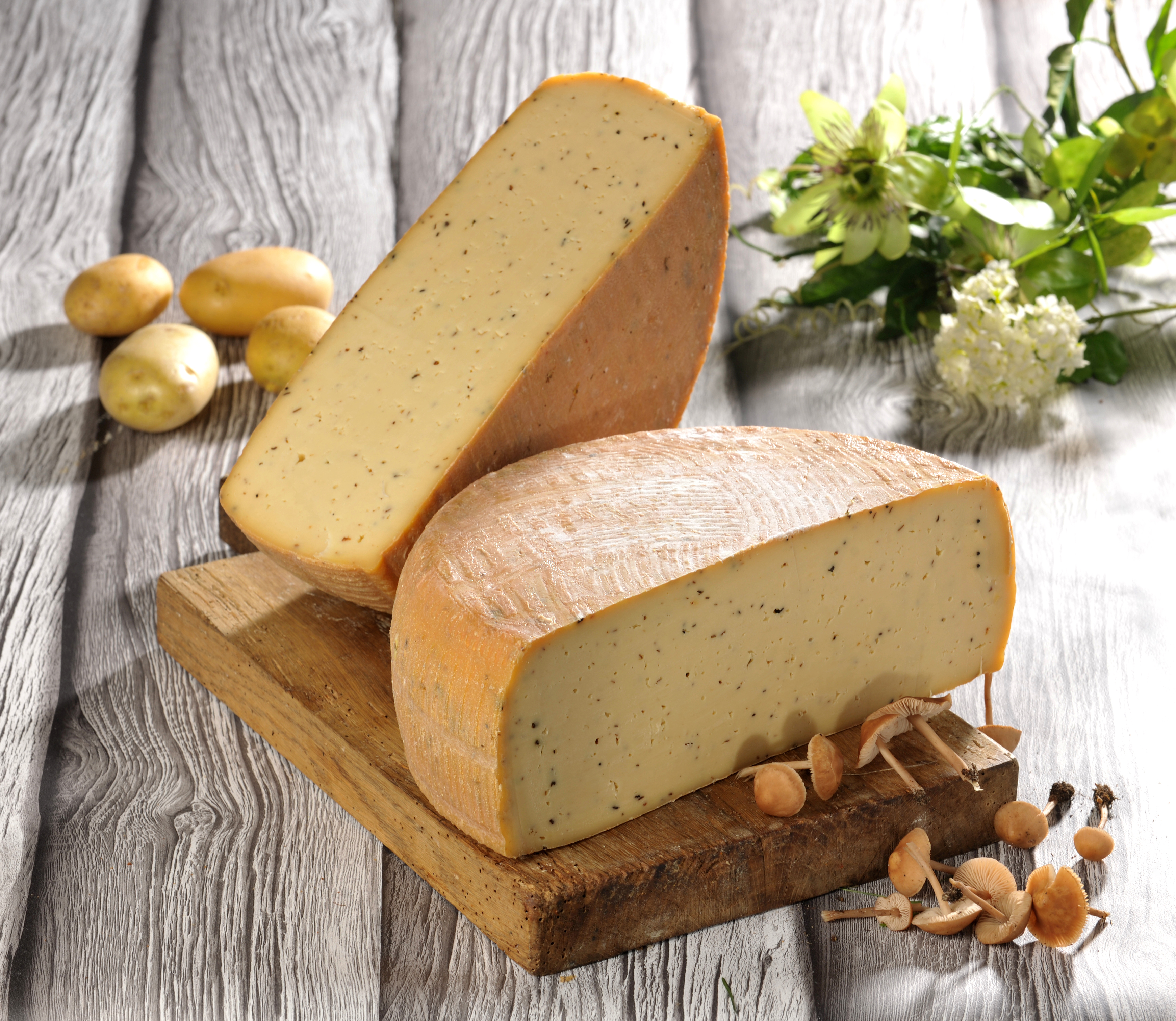 BAECHLER FONDANT FORESTIÈRE 28% MAT.GR. code EAN 3302010600070 