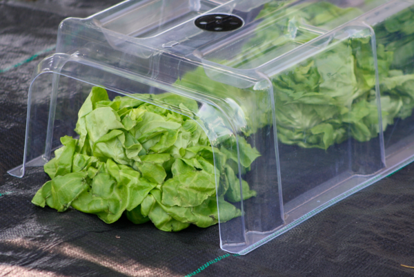  TUNNEL POTAGER + PIQUETS   code EAN 3306130300551 