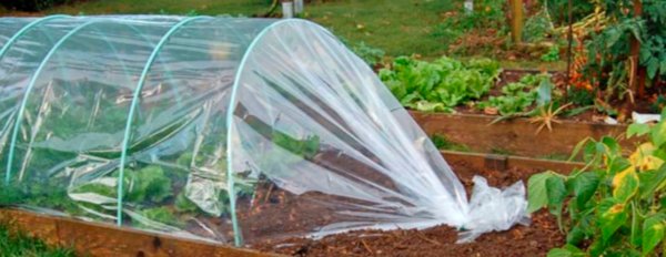  TUNNEL DE FORCAGE  code EAN 3306131650266 