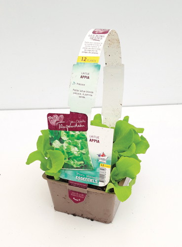 SALADES 3327191876762 