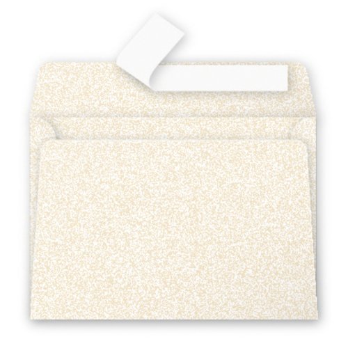 Pollen POLLEN Pqt de 20 Enveloppe 120g 114x162 ivoire irisé code EAN 3329680500462 