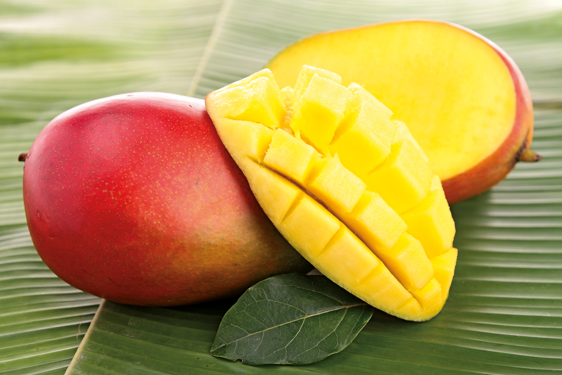  MANGUE AFFINÉE code EAN 3333333154782 