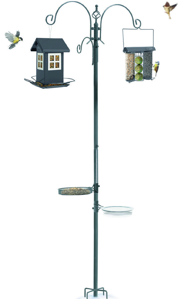 STATION MANGEOIRE SUR PIED