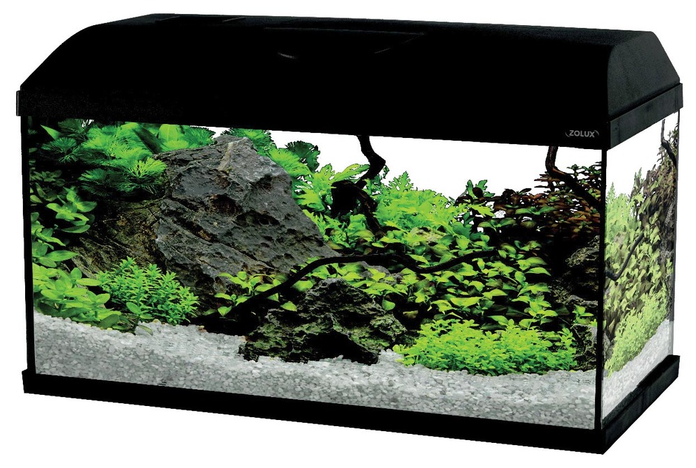 KIT AQUARIUM “AQUA FIRST”