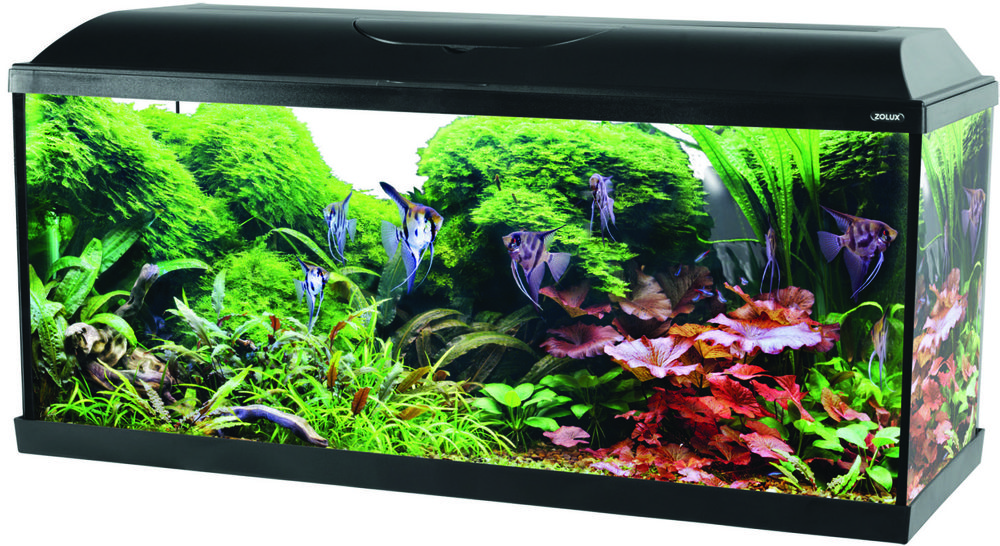 Kit aquarium iseo 100