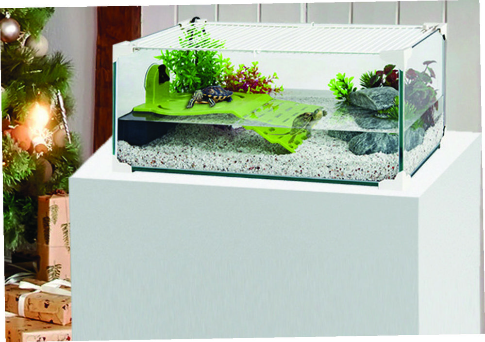 AQUA-TERRARIUM “KARAPAS AQUA 60”