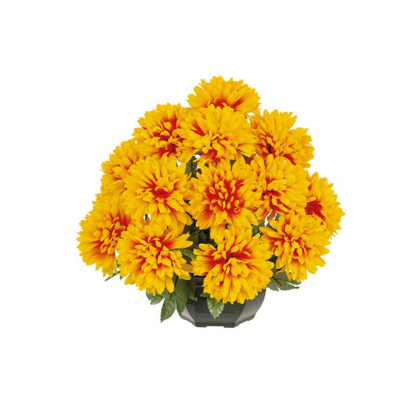 COUPE CHRYSANTHÈMES 3347541008643 (3347541008643)
