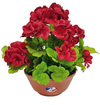  COUPE DE GÉRANIUMS code EAN 3347541501755 