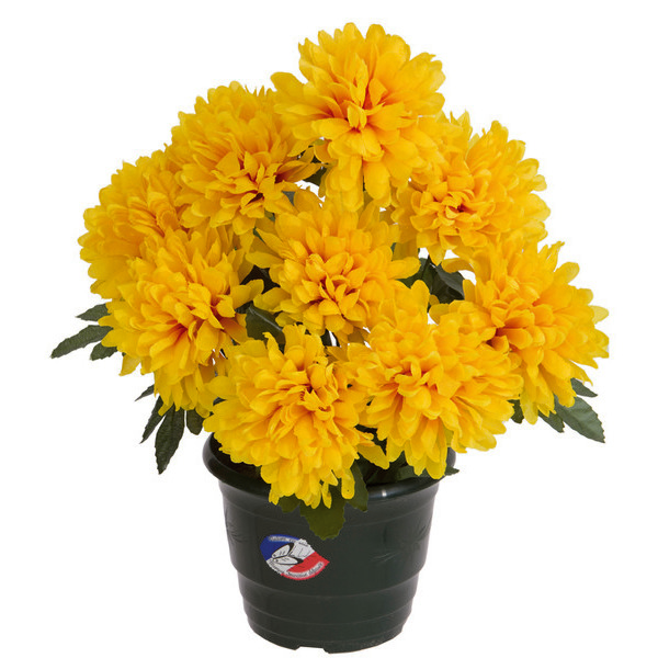 Coupe de chrysanthèmes 9 têtes  3347541507573 (3347541507573)