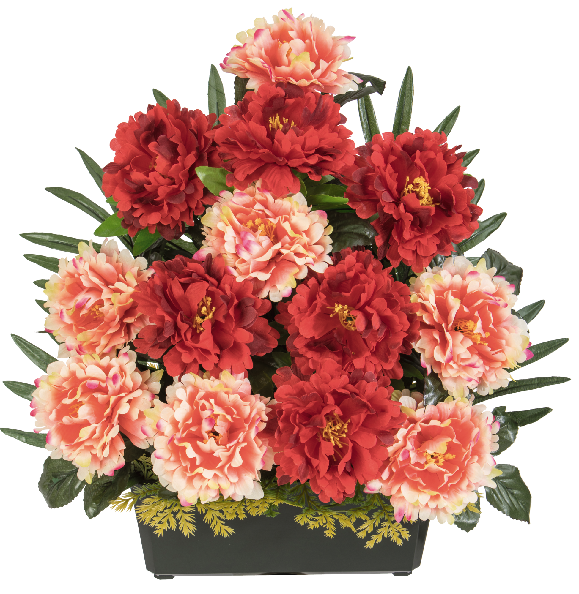 JARDINIERE DE PIVOINES