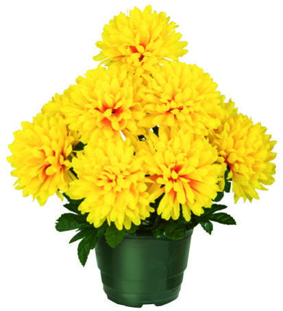  POT DE CHRYSANTHÈMES 9 TÊTES code EAN 3347545441323 
