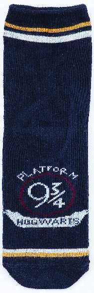 LOT DE 6 PAIRES DE CHAUSSETTES 