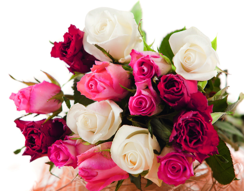 BOUQUET DE 15 ROSES MAX HAVELAAR 3355150001726 (3355150001726)