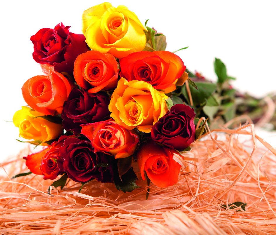 BOUQUET DE 15 ROSES MAX HAVELAAR 3355150003331 (3355150003331)
