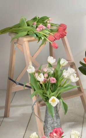 BOUQUET TULIPES PRÉCOCES & ROSE BRANCHUE 3355150053886 (3355150053886)