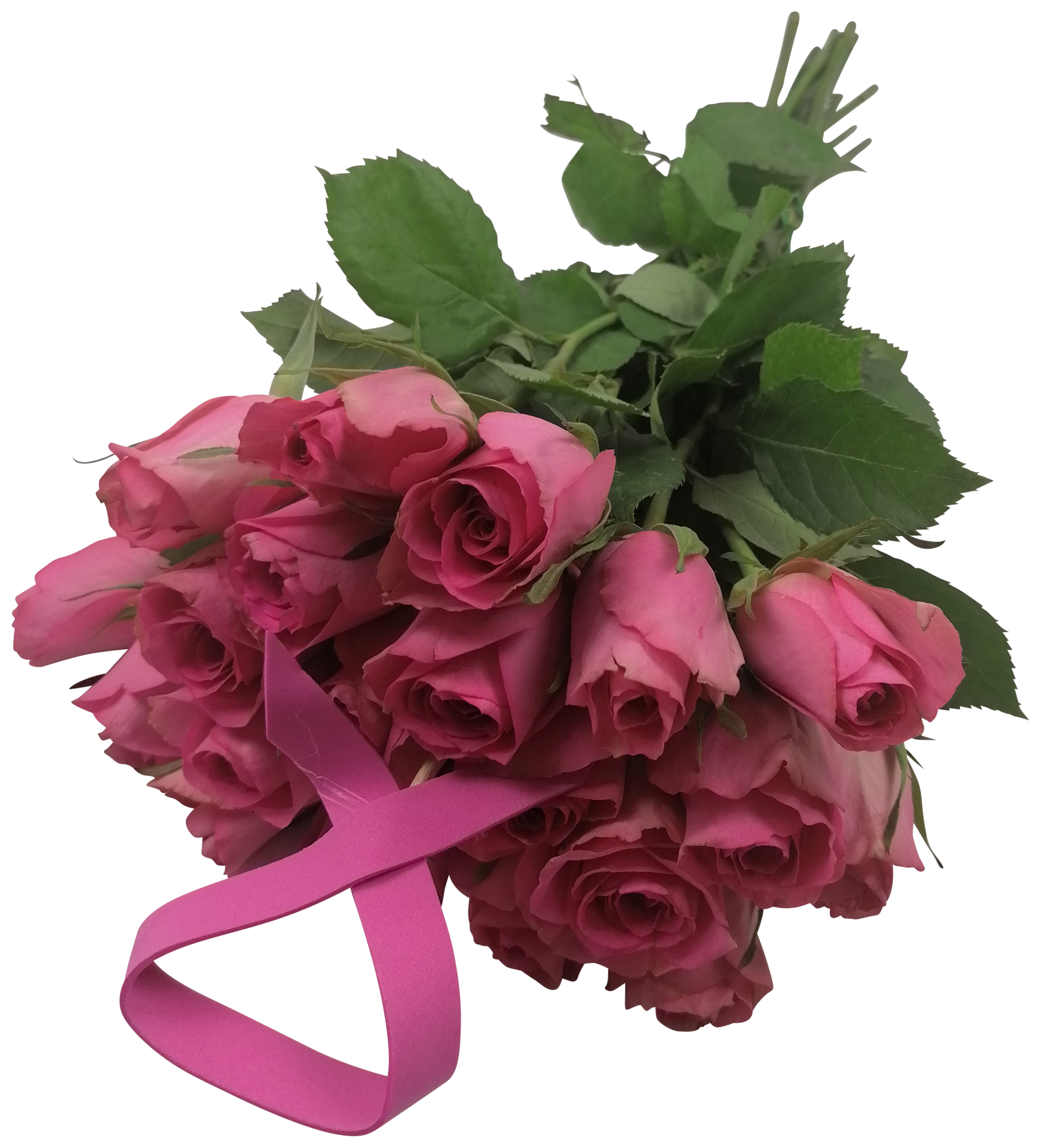 BIGOT FLEURS Bouquet de 20 roses octobre rose code EAN 3355150057624 