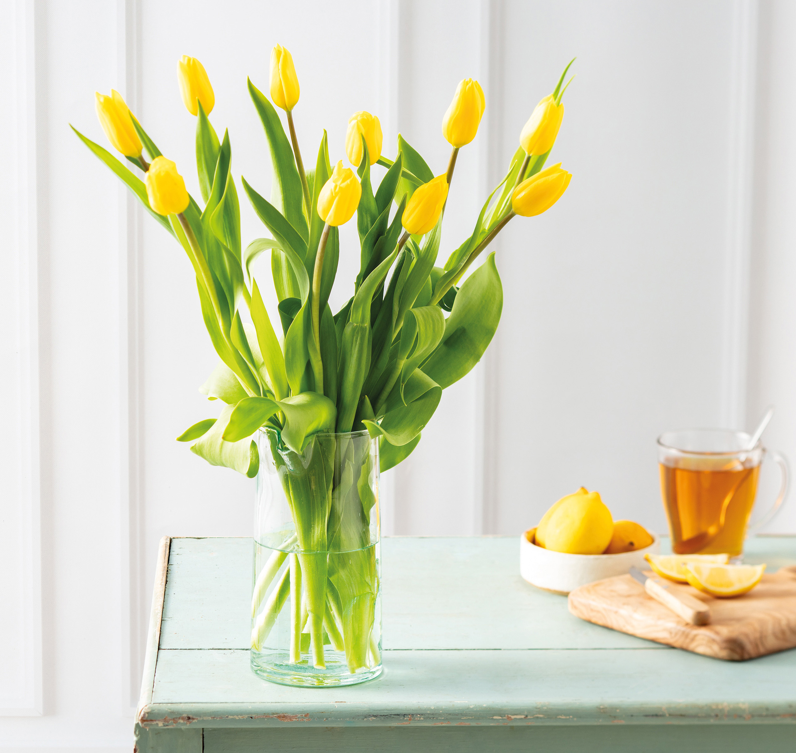  10 TULIPES code EAN 3355150059222 