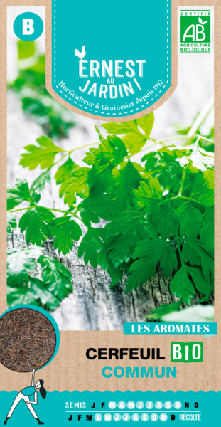 CERFEUIL COMMUN BIO 
