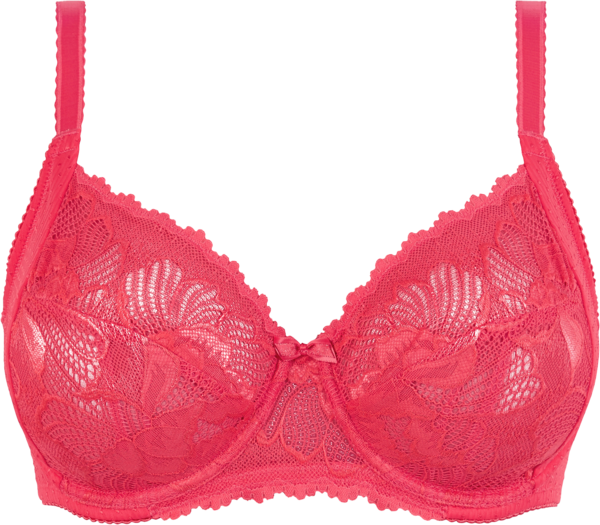 SOUTIEN GORGE CAPUCINE 
