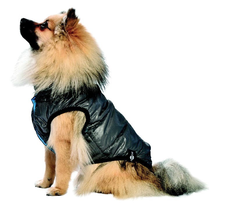 Bobby DOUDOUNE RÉVERSIBLE “OGGY” code EAN 3380350325709 