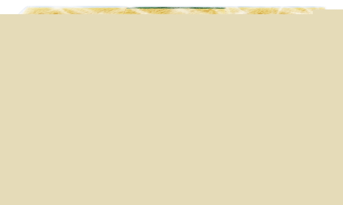 Combiné gratte-éponge microfibre Spontex