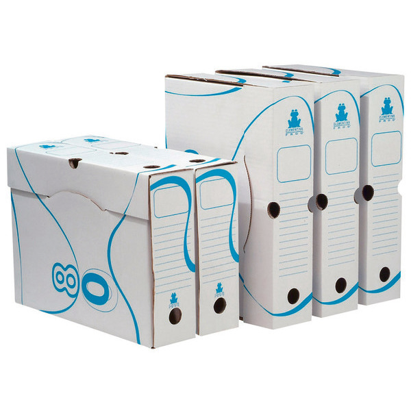 Lot de 10 boites archives blanches