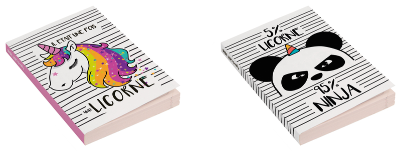 AGENDA SCOLAIRE 12X17 CM FANTAISIE CLEMENTINA FROG