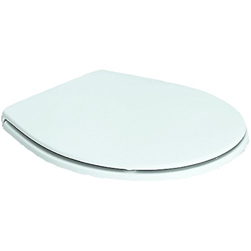 R391501 abattant universel avec charnière en in...