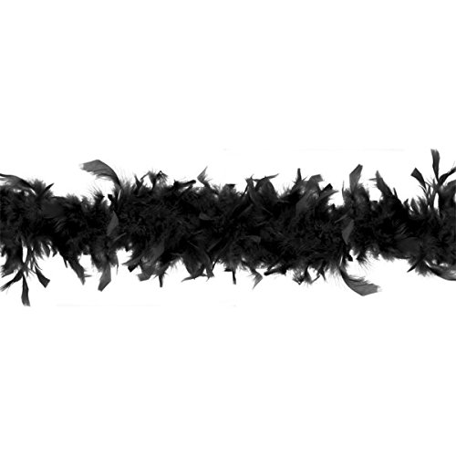 DIGE n27e06/10 - Guirlande de plumes noir, de 1...