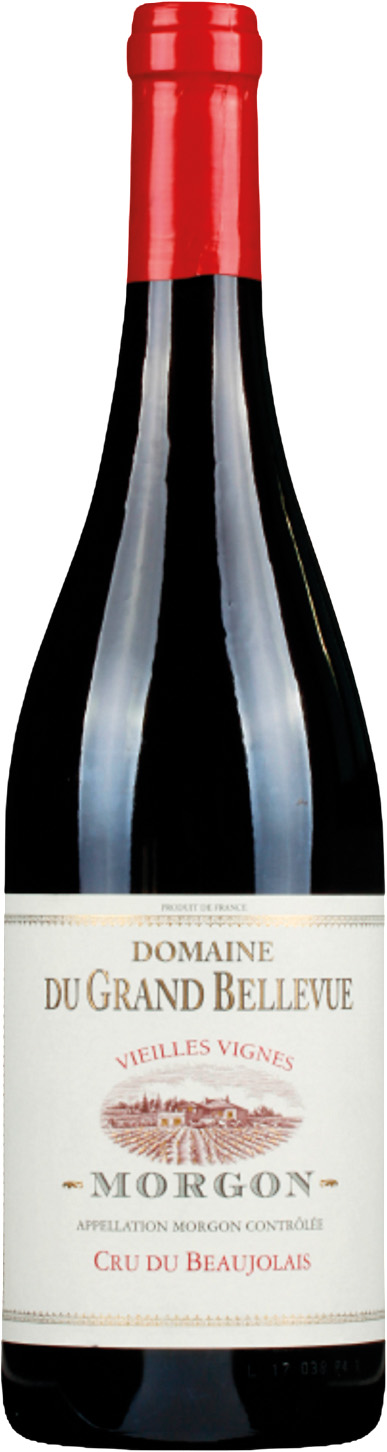 MORGON AOP ROUGE DOMAINE DU GRAND BELLEVUE 2022 3395940513435 