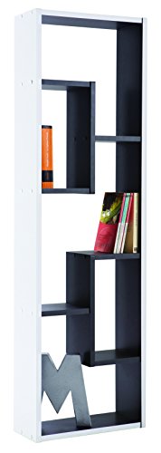 270521 bibliothèque 3 + 2 niches blanc/noir