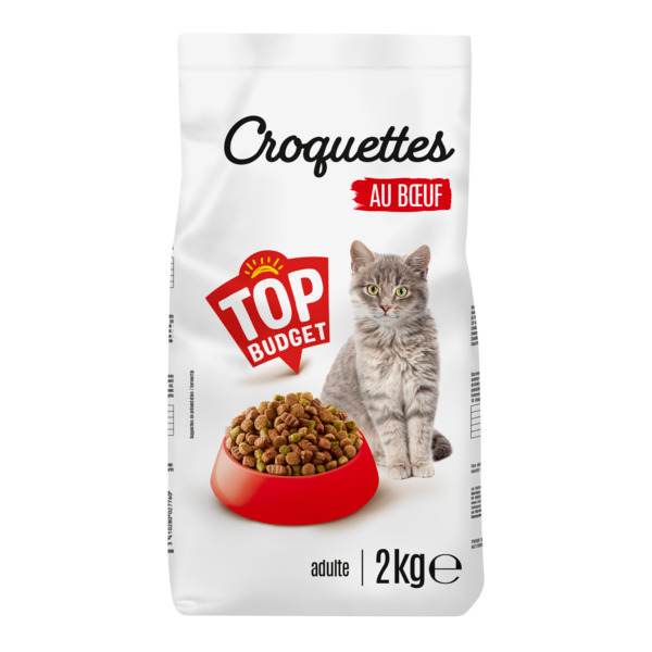 CROQUETTES À LA VIANDE
