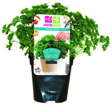  PERSIL FRISÉ code EAN 3411027043975 