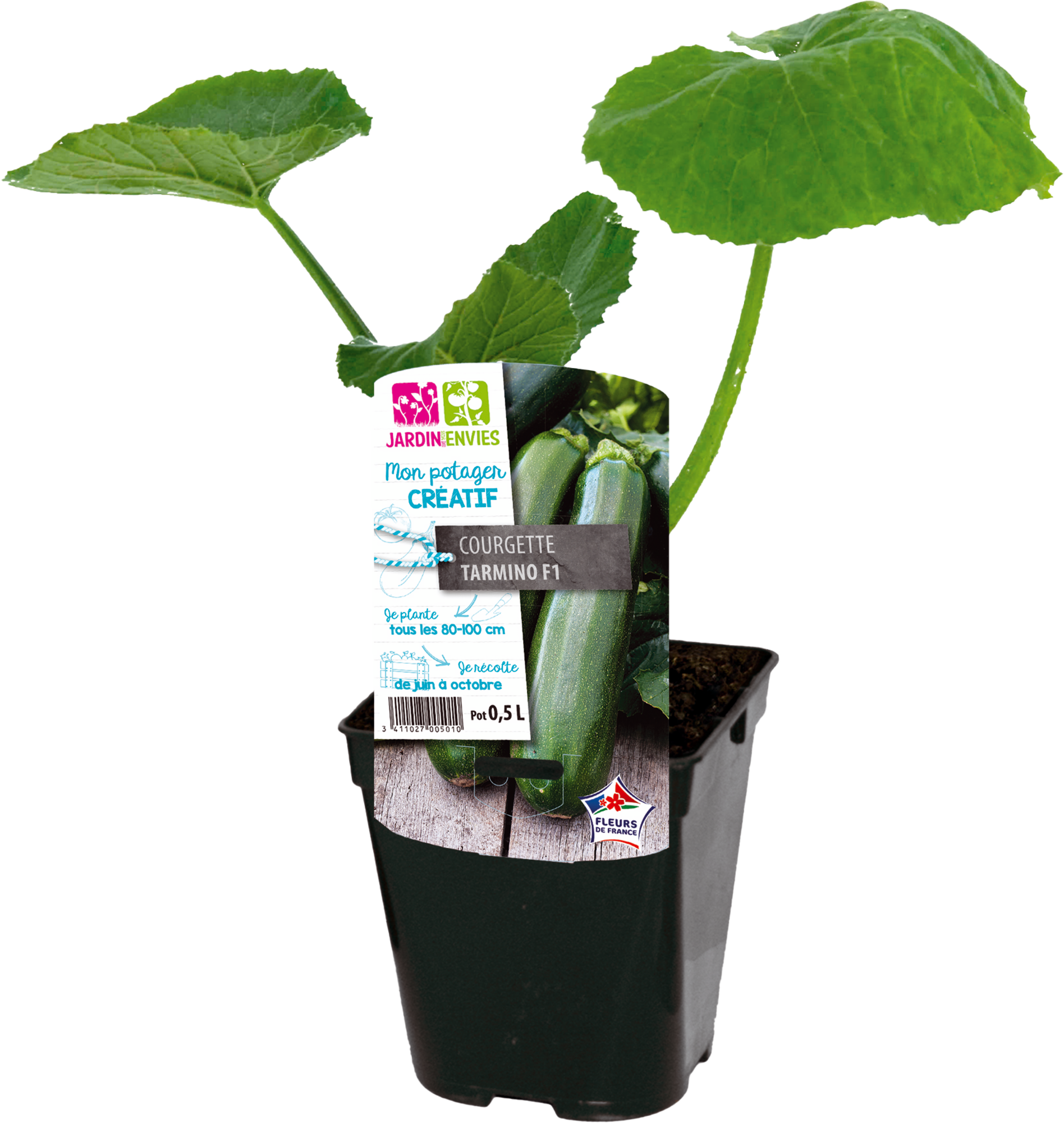 JARDIN DE VOS ENVIES COURGETTE ''ASTIA'' code EAN 3411029691921 