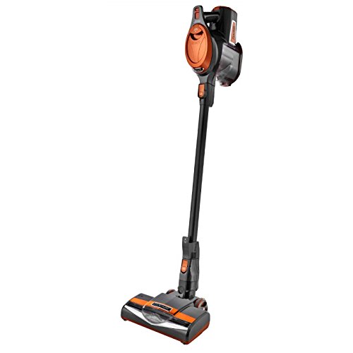 Aspirateur balai sans sac electrobrosse na300
