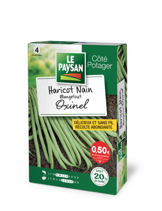 GRAINES HARICOTS NAIN 3419199802758 LE PAYSAN