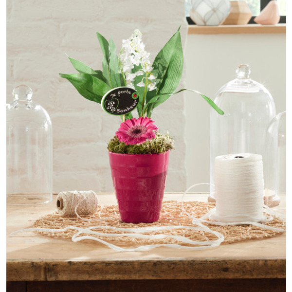 MUGUET 3 GRIFFES AVEC 1 GERMINI   3423453180384 